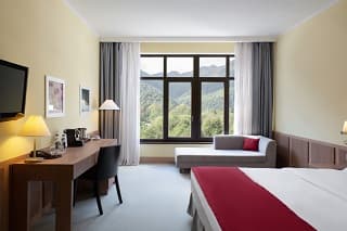 Стандарт с видом на реку 2-местный 1-комнатный в отеле «Golden Tulip Rosa Khutor 4*»